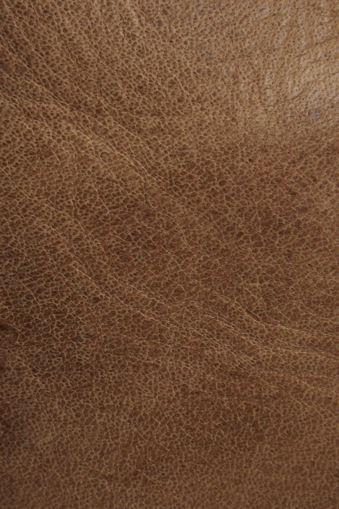Frye Melissa Beige Tote