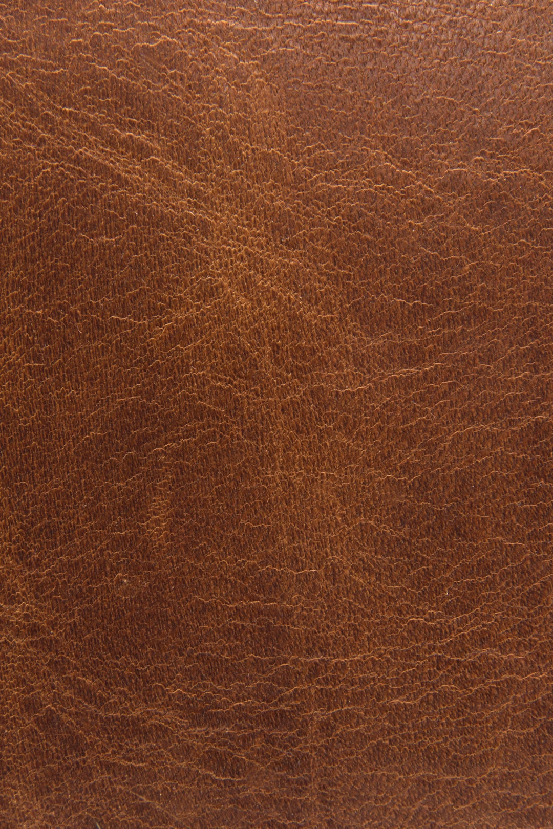 Frye Logan Cognac Top Handle