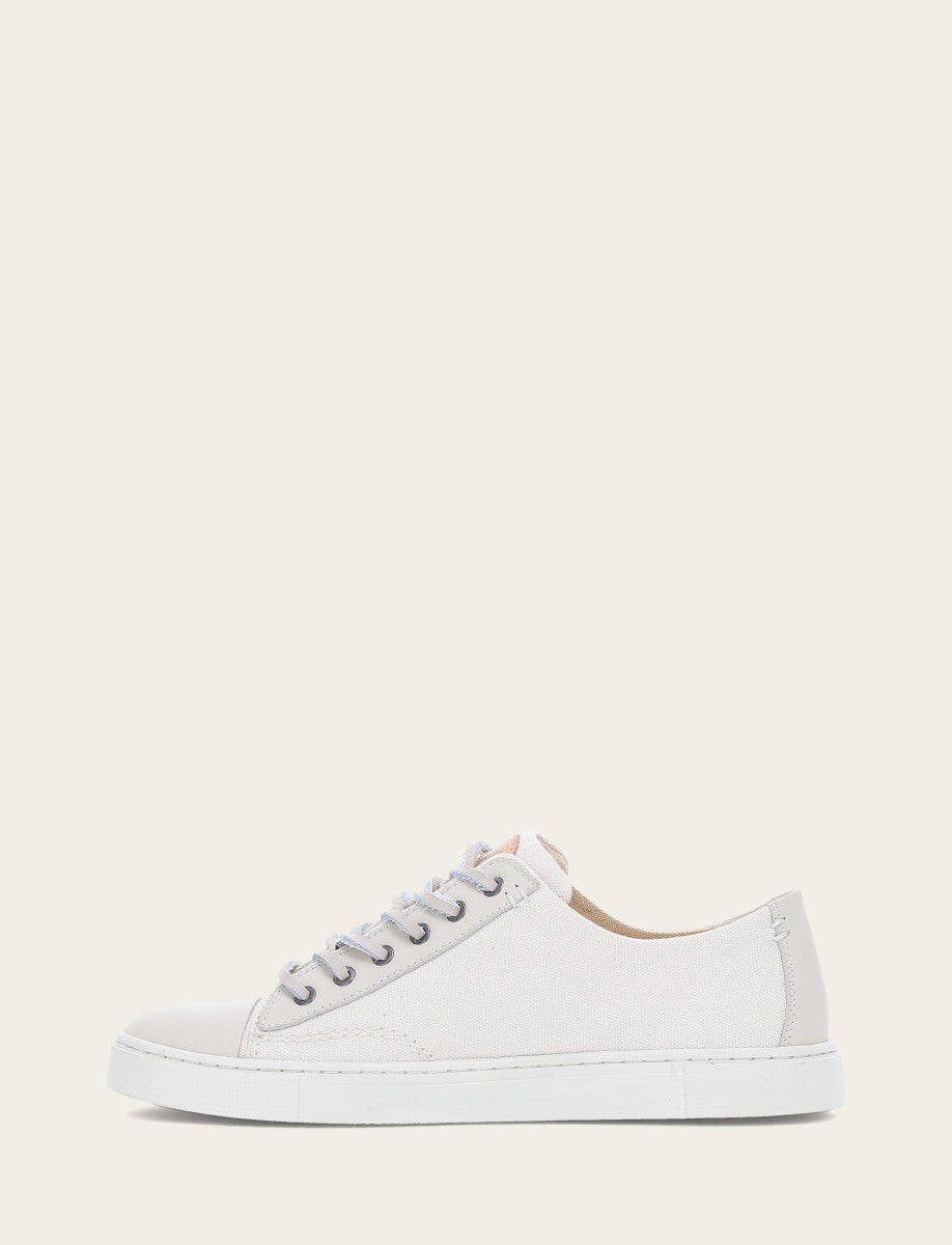 Women's Ivory Ivy Canvas Low Lace Sneakers | Frye Ivory