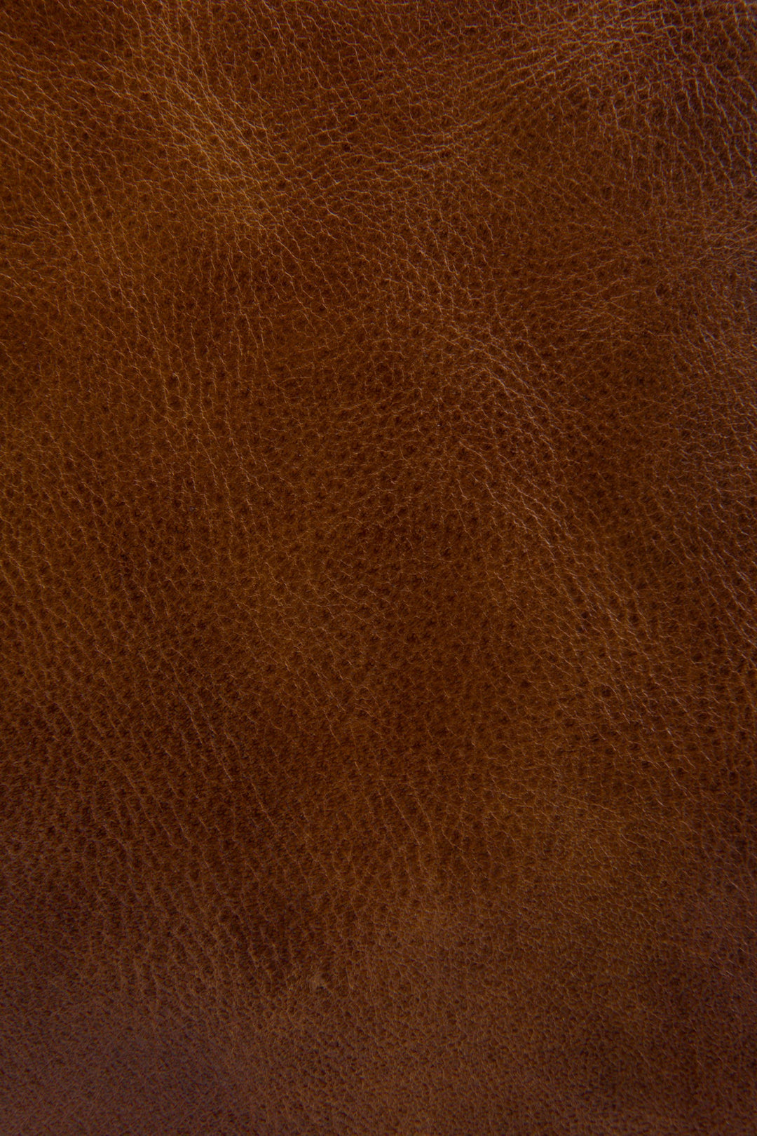 Melissa Cognac Zip Crossbody | Frye Cognac