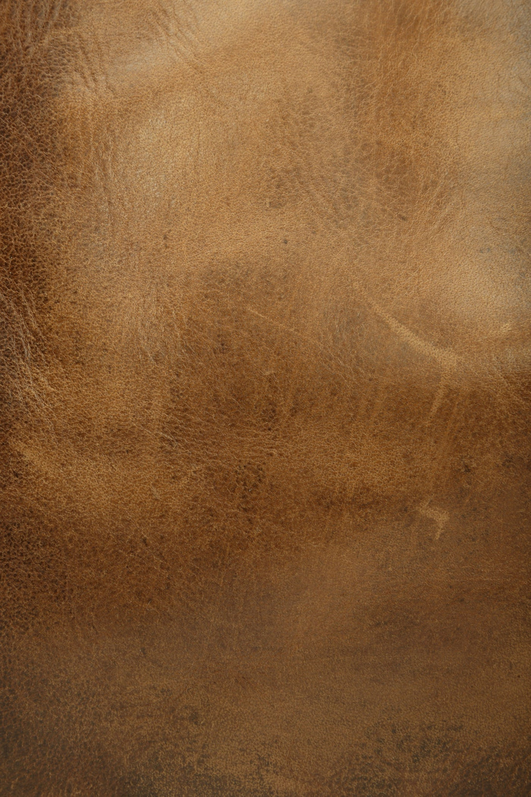 Melissa Cognac Tote | Frye Cognac