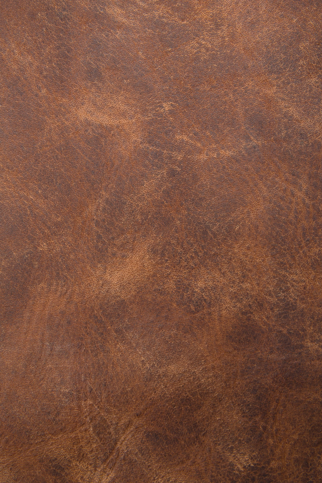 Melissa Cognac Hobo | Frye Cognac