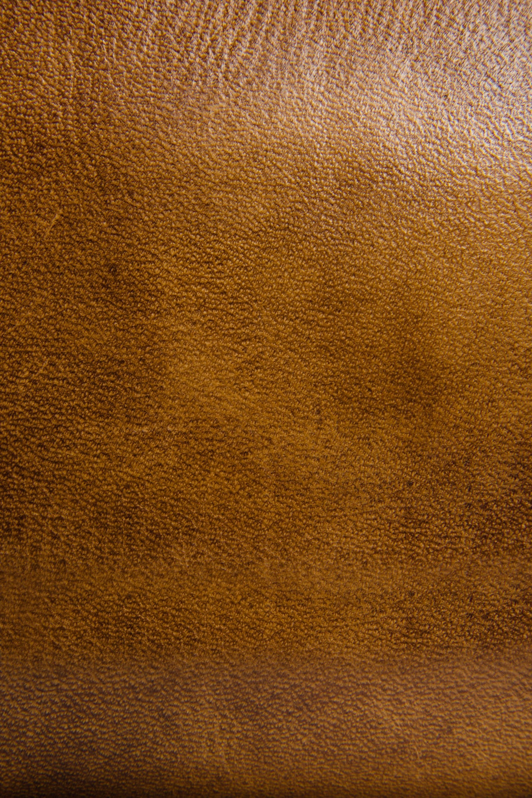 Melissa Beige Zip Wallet | Frye Beige