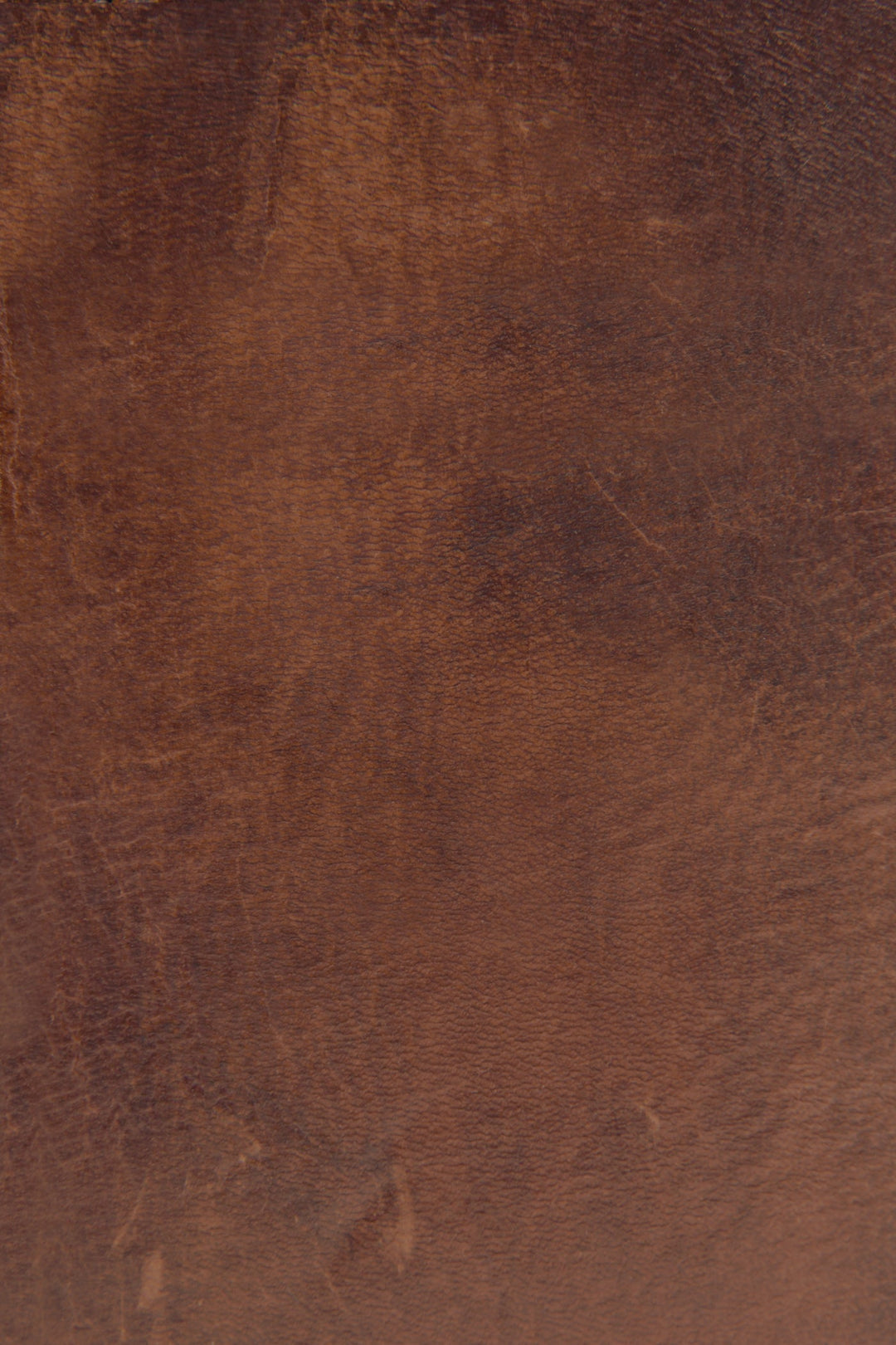 Melissa Cognac Zip Wallet | Frye Cognac