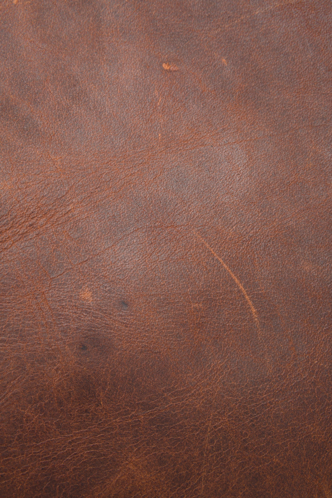 Logan Cognac Backpack | Frye Cognac