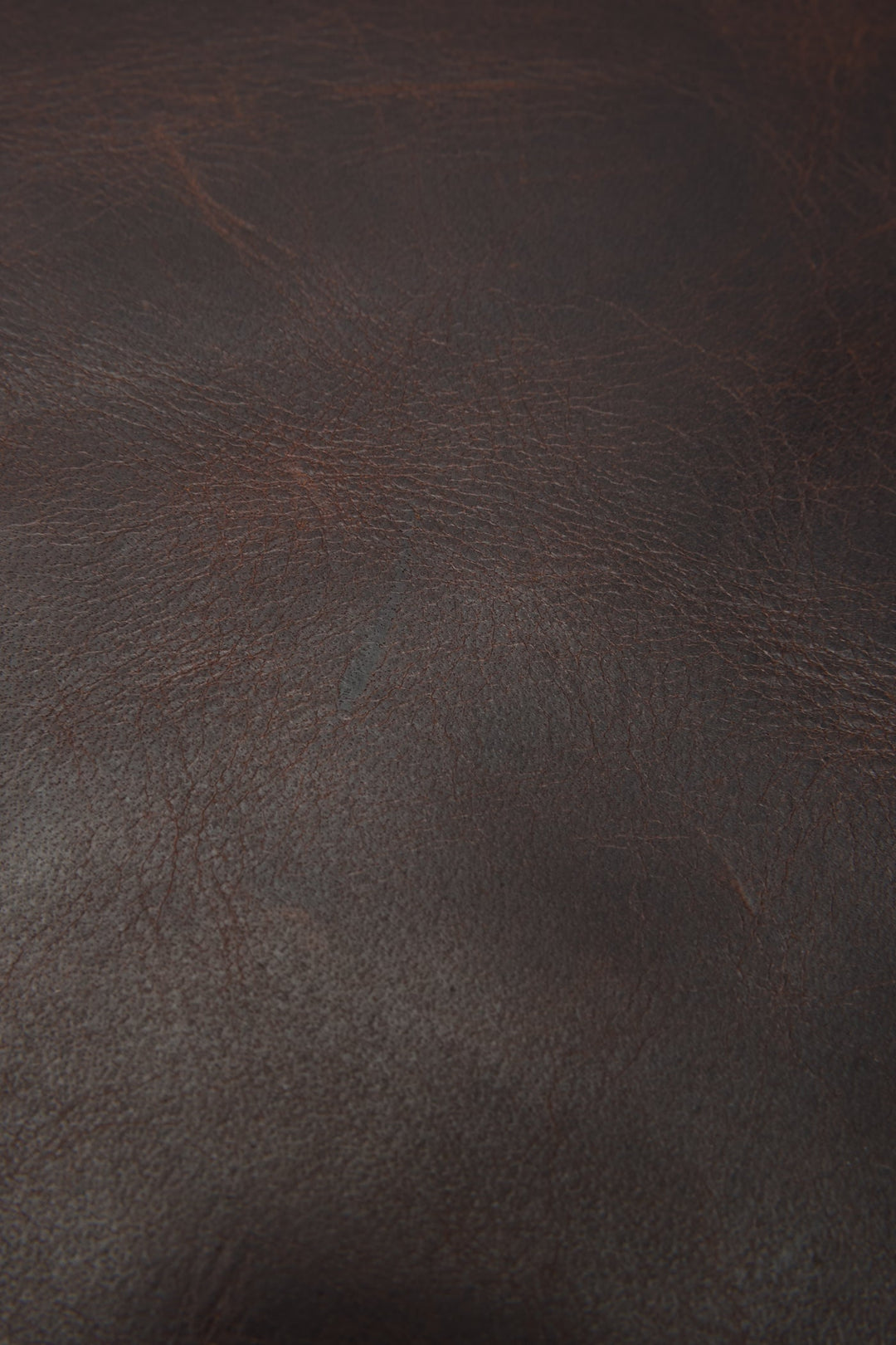 Logan Dark Brown Backpack | Frye Dark Brown