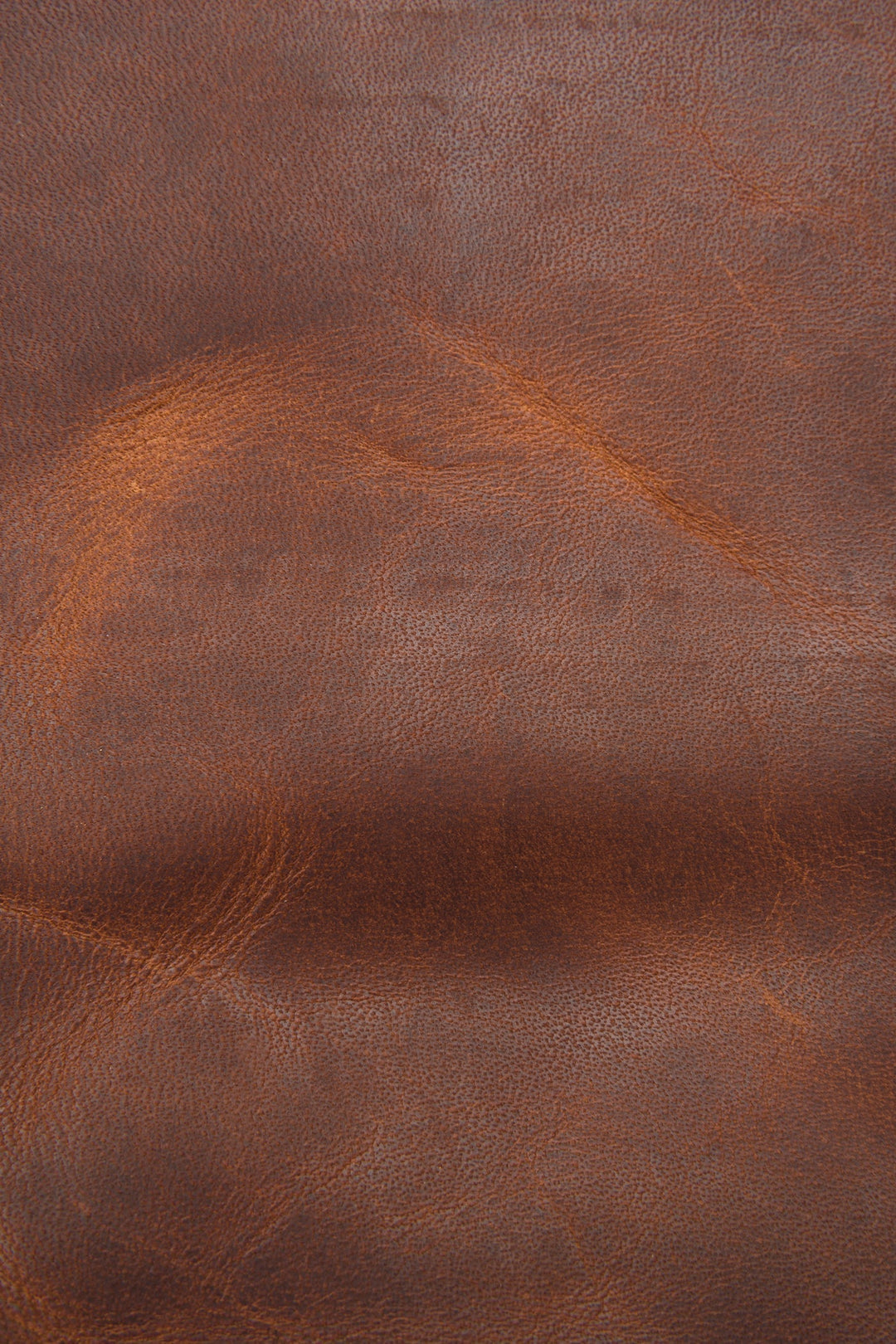 Logan Messenger | Frye Cognac