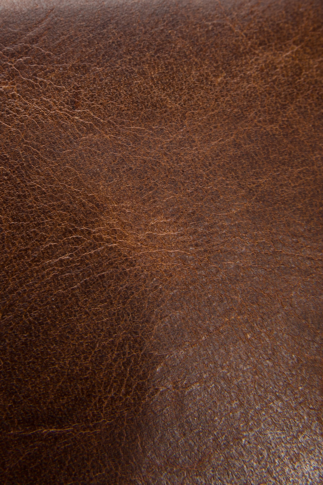 Logan Cognac Billfold | Frye Cognac