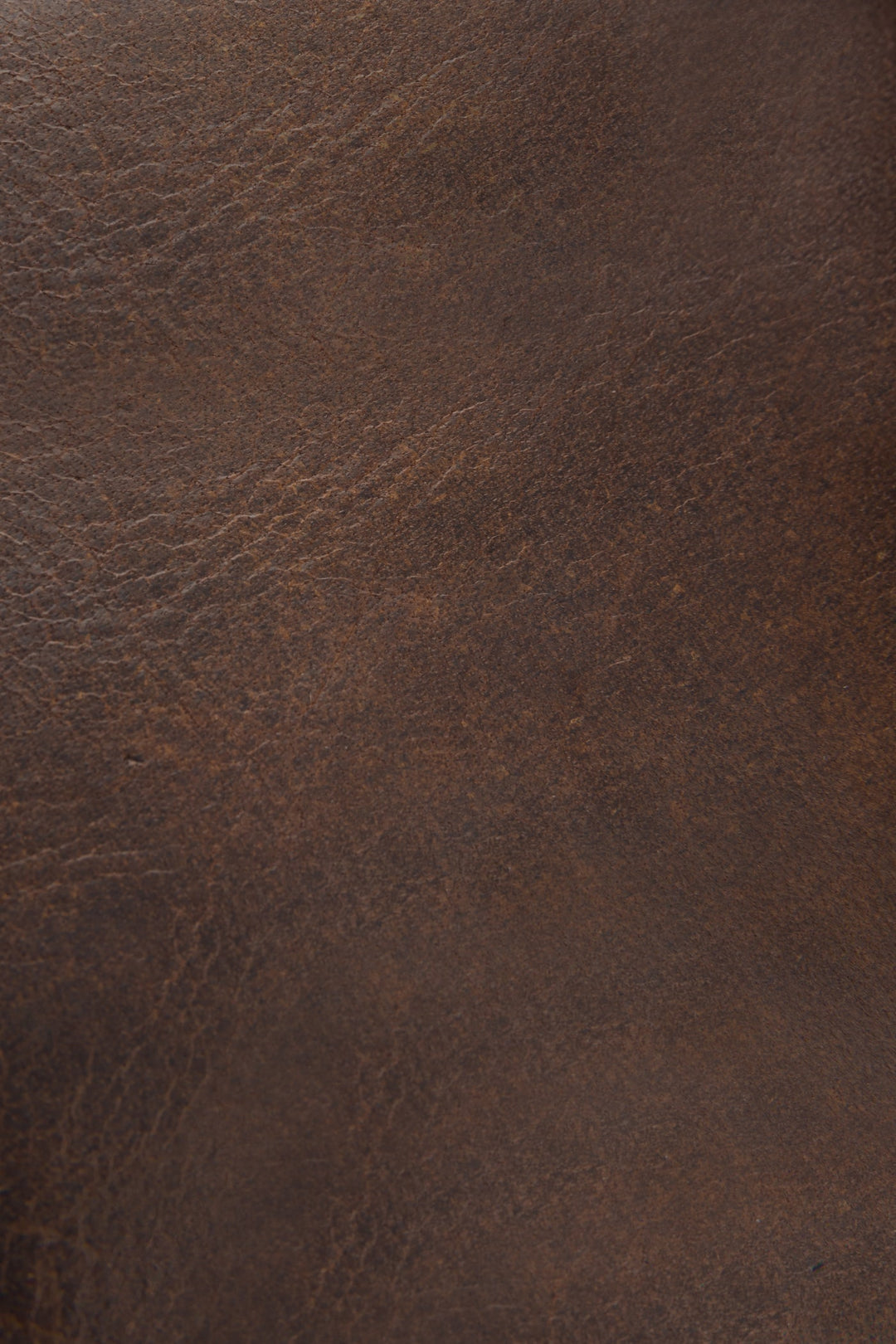 Logan Dark Brown Billfold | Frye Dark Brown